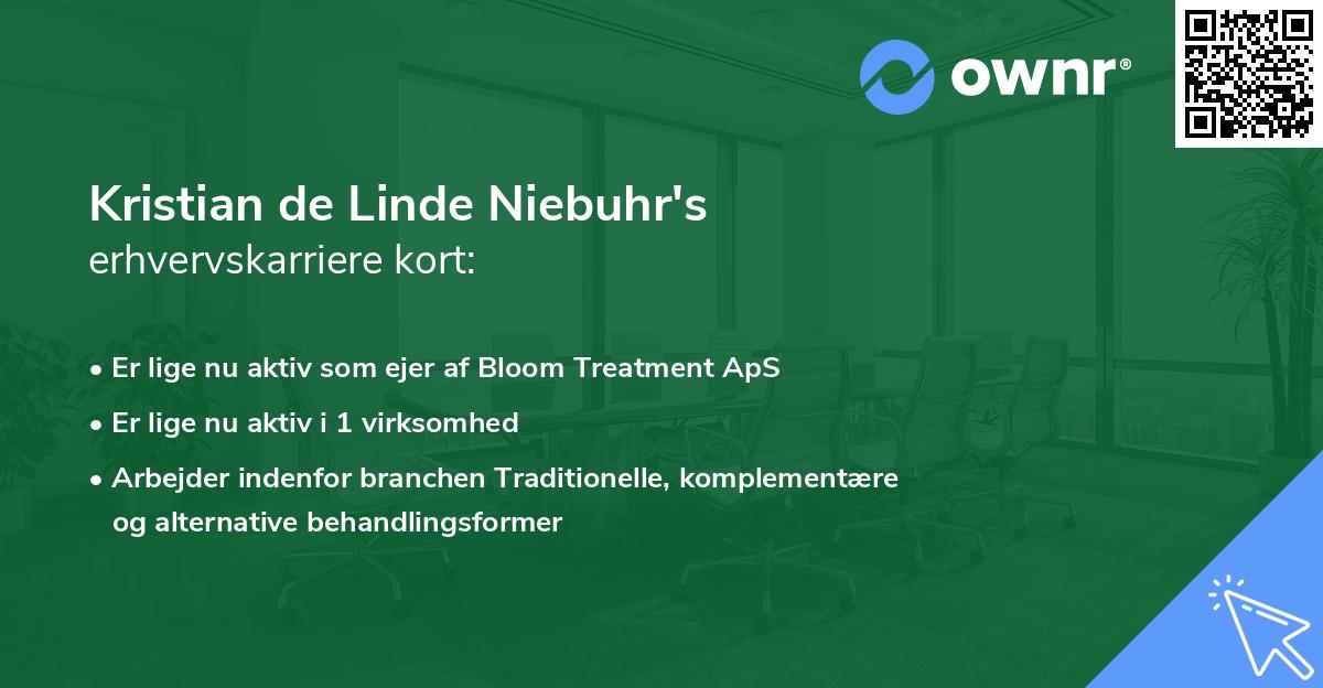 Kristian de Linde Niebuhr's erhvervskarriere kort
