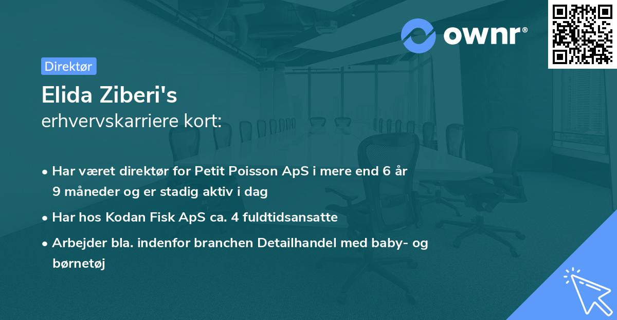 Elida Ziberi's erhvervskarriere kort