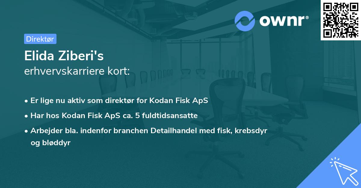 Elida Ziberi's erhvervskarriere kort