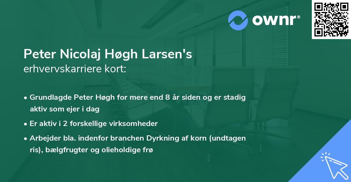 Peter Nicolaj Høgh Larsen's erhvervskarriere kort