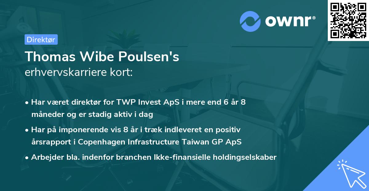 Thomas Wibe Poulsen's erhvervskarriere kort