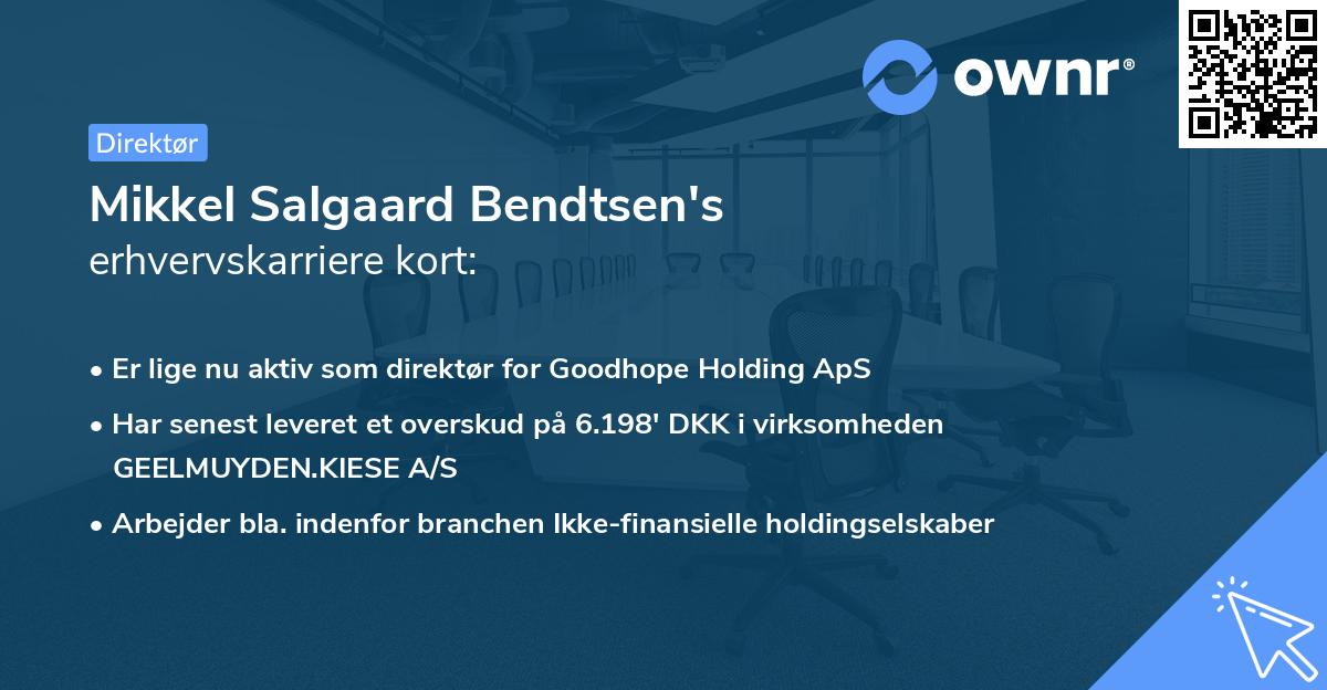 Mikkel Salgaard Bendtsen's erhvervskarriere kort