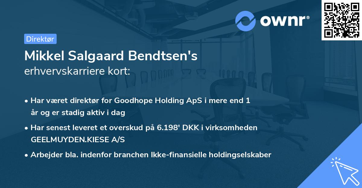 Mikkel Salgaard Bendtsen's erhvervskarriere kort