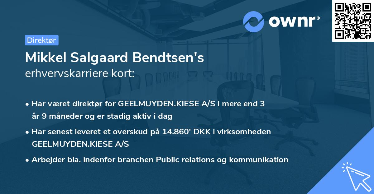 Mikkel Salgaard Bendtsen's erhvervskarriere kort