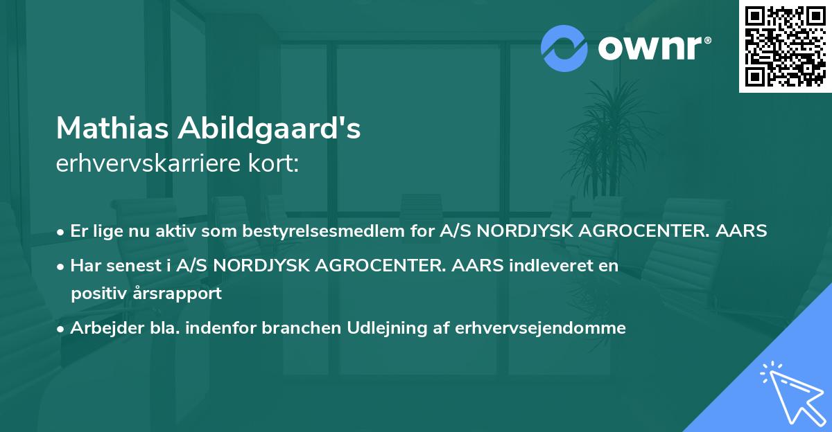 Mathias Abildgaard's erhvervskarriere kort