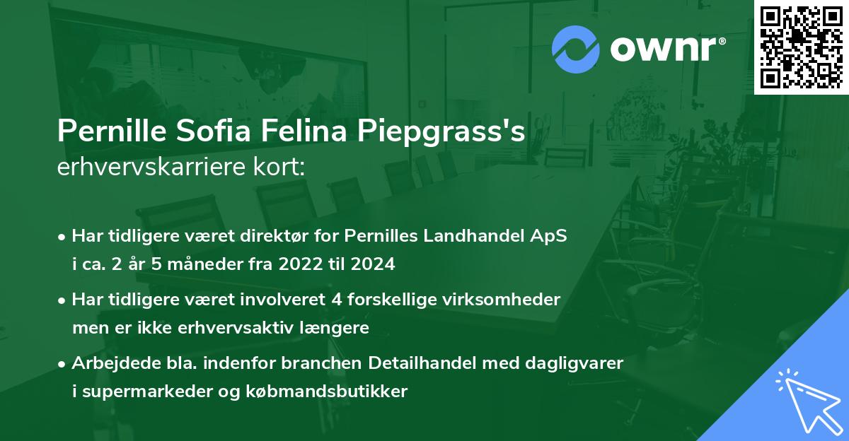 Pernille Sofia Felina Piepgrass's erhvervskarriere kort
