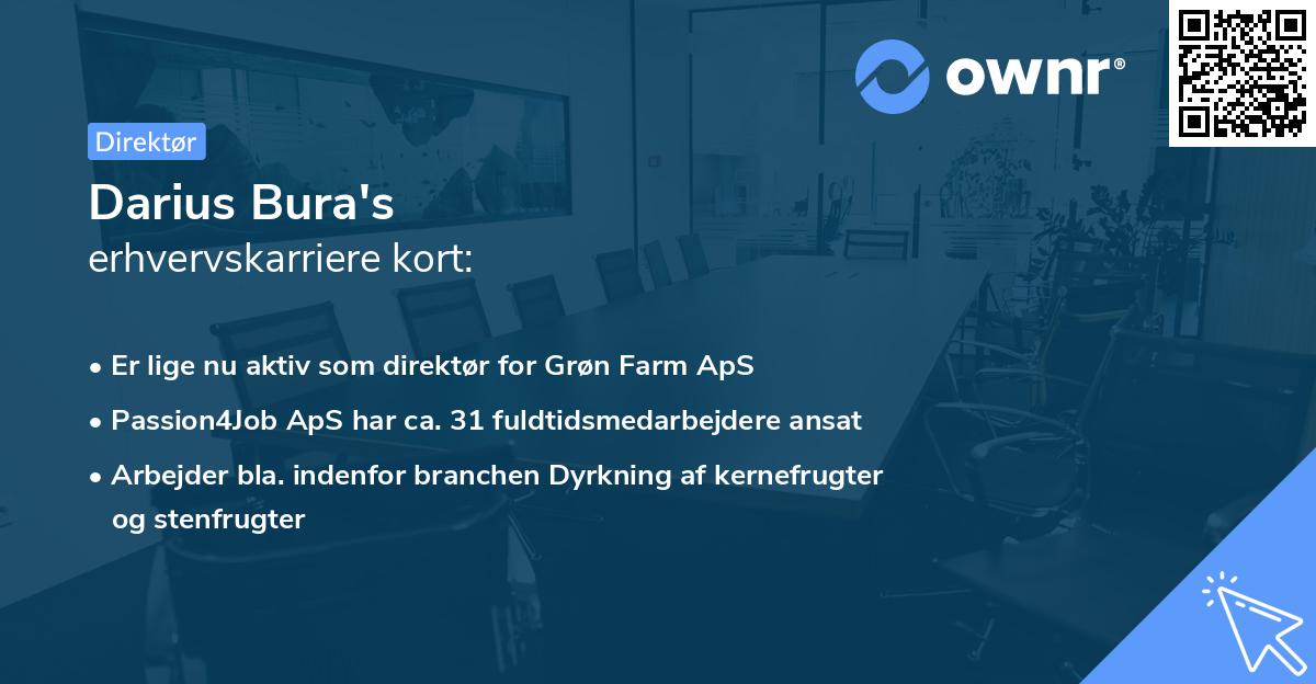 Darius Bura's erhvervskarriere kort