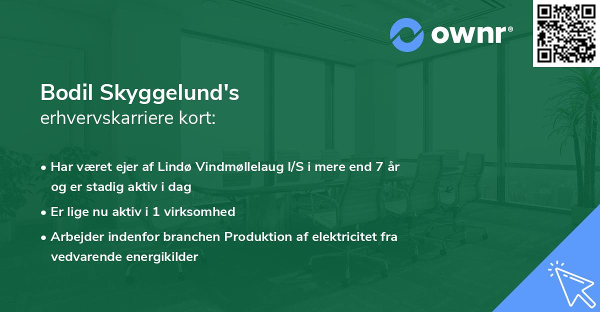 Bodil Skyggelund's erhvervskarriere kort