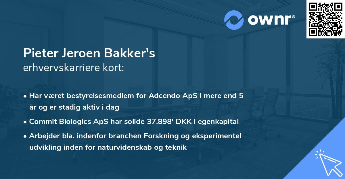 Pieter Jeroen Bakker's erhvervskarriere kort