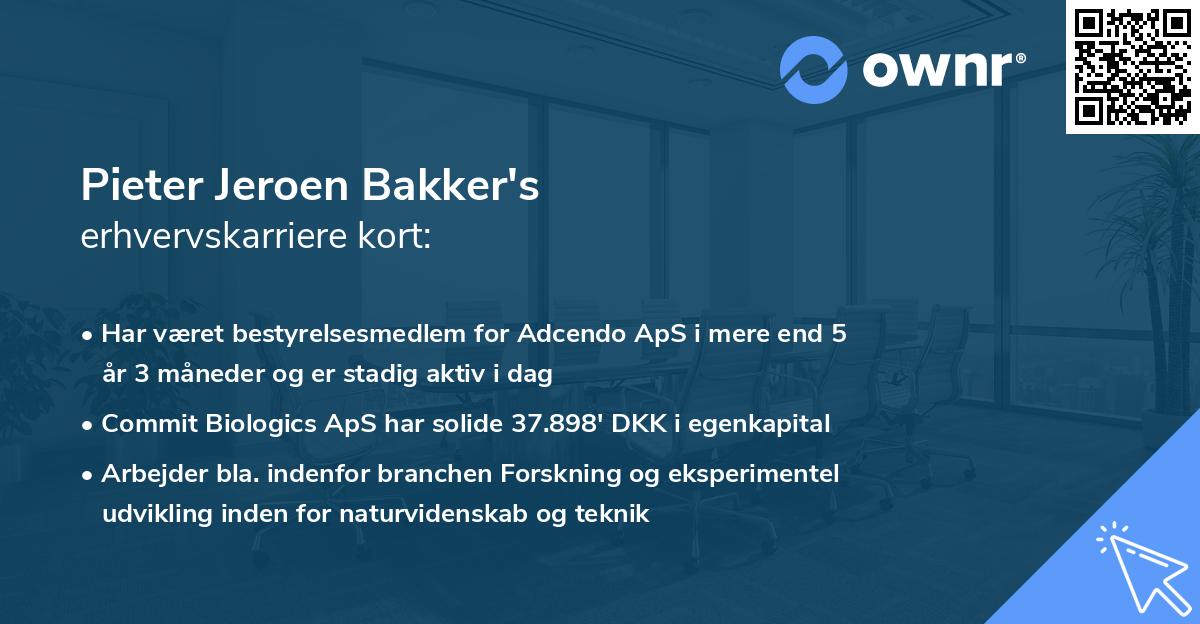 Pieter Jeroen Bakker's erhvervskarriere kort