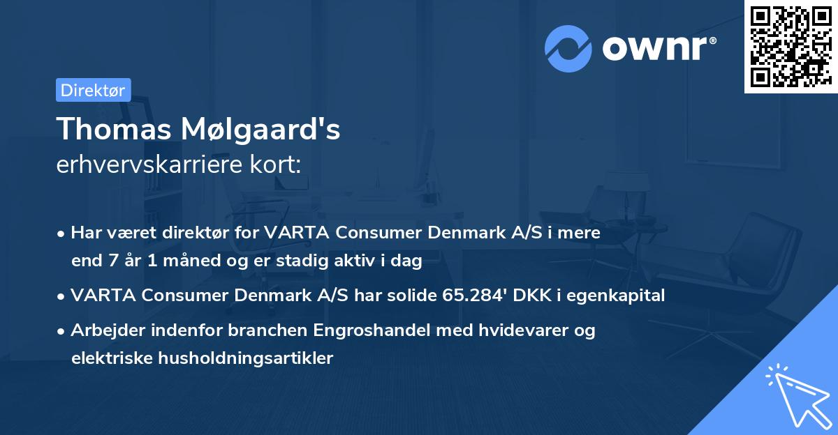 Thomas Mølgaard's erhvervskarriere kort