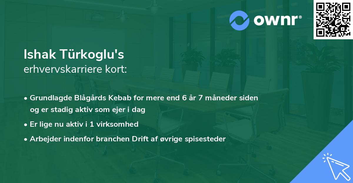 Ishak Türkoglu's erhvervskarriere kort