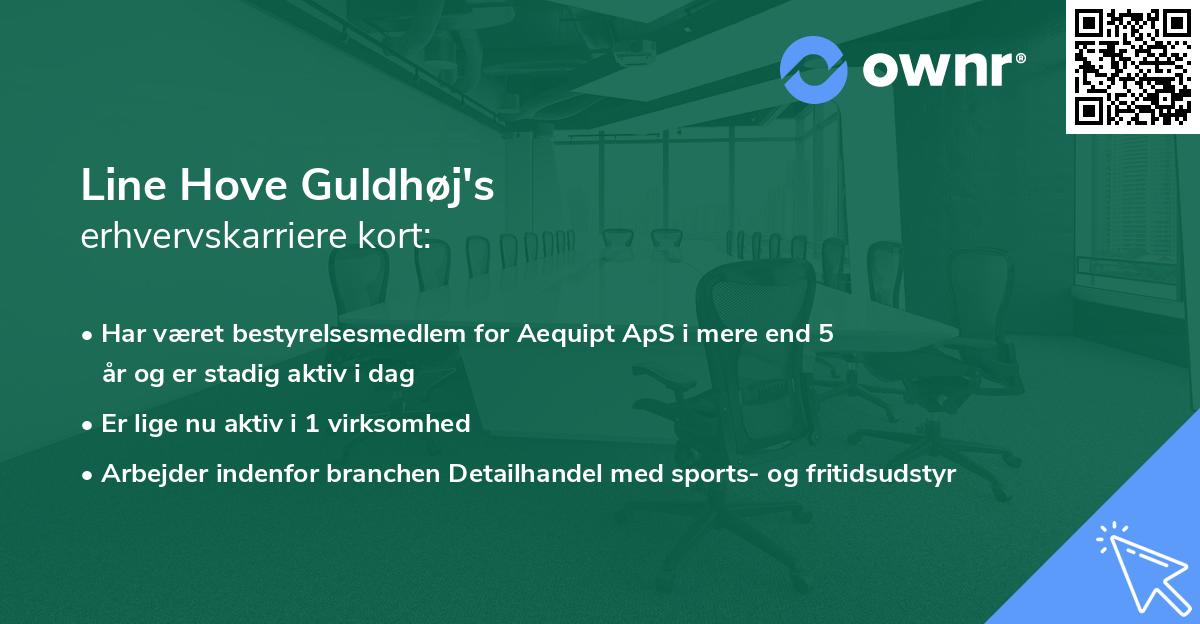 Line Hove Guldhøj's erhvervskarriere kort