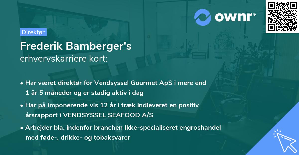 Frederik Bamberger's erhvervskarriere kort