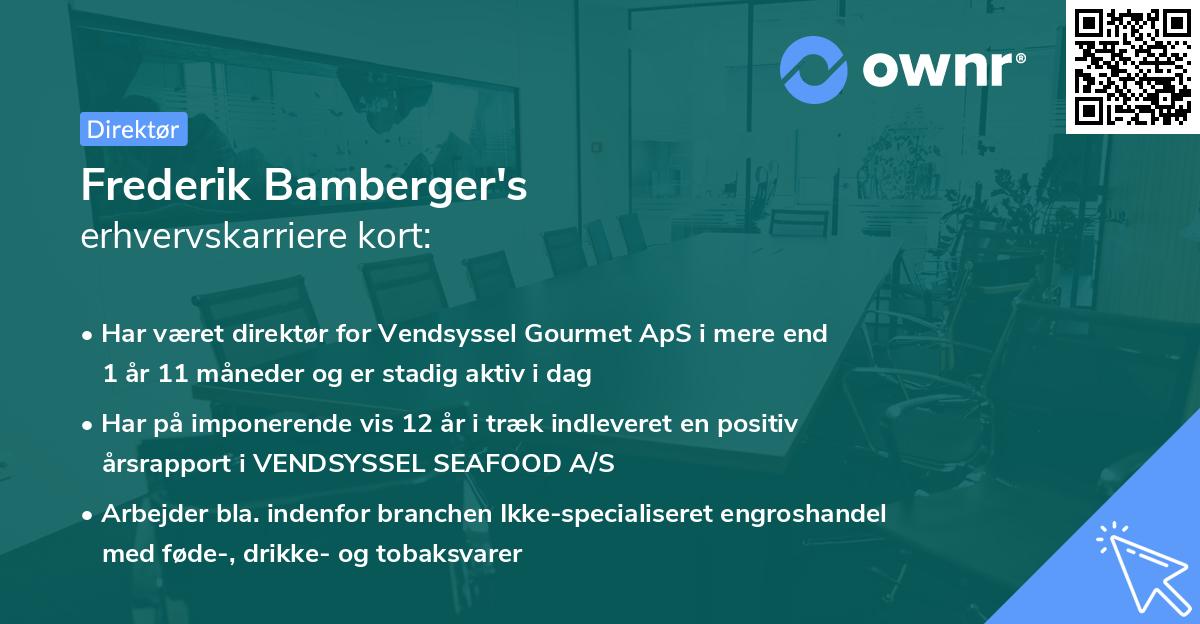 Frederik Bamberger's erhvervskarriere kort