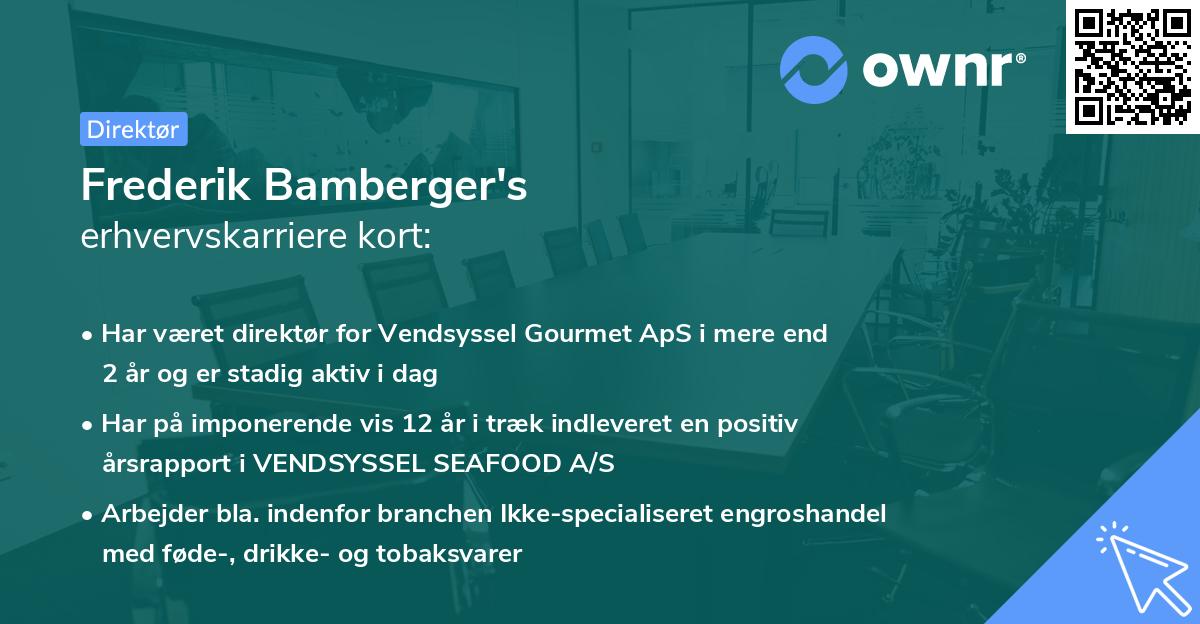 Frederik Bamberger's erhvervskarriere kort