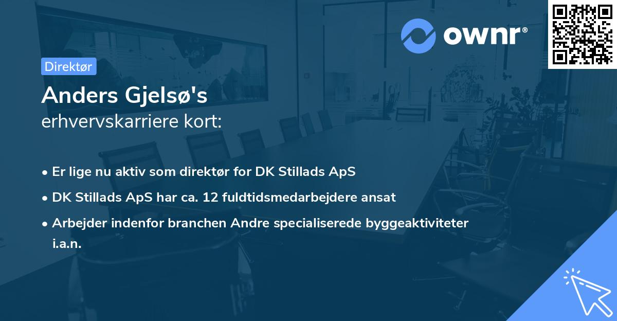 Anders Gjelsø's erhvervskarriere kort