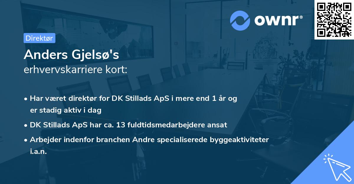 Anders Gjelsø's erhvervskarriere kort