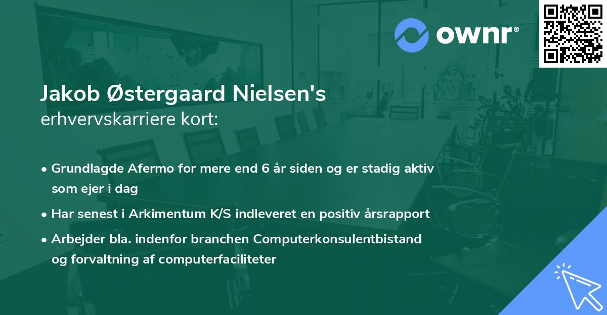 Jakob Østergaard Nielsen's erhvervskarriere kort