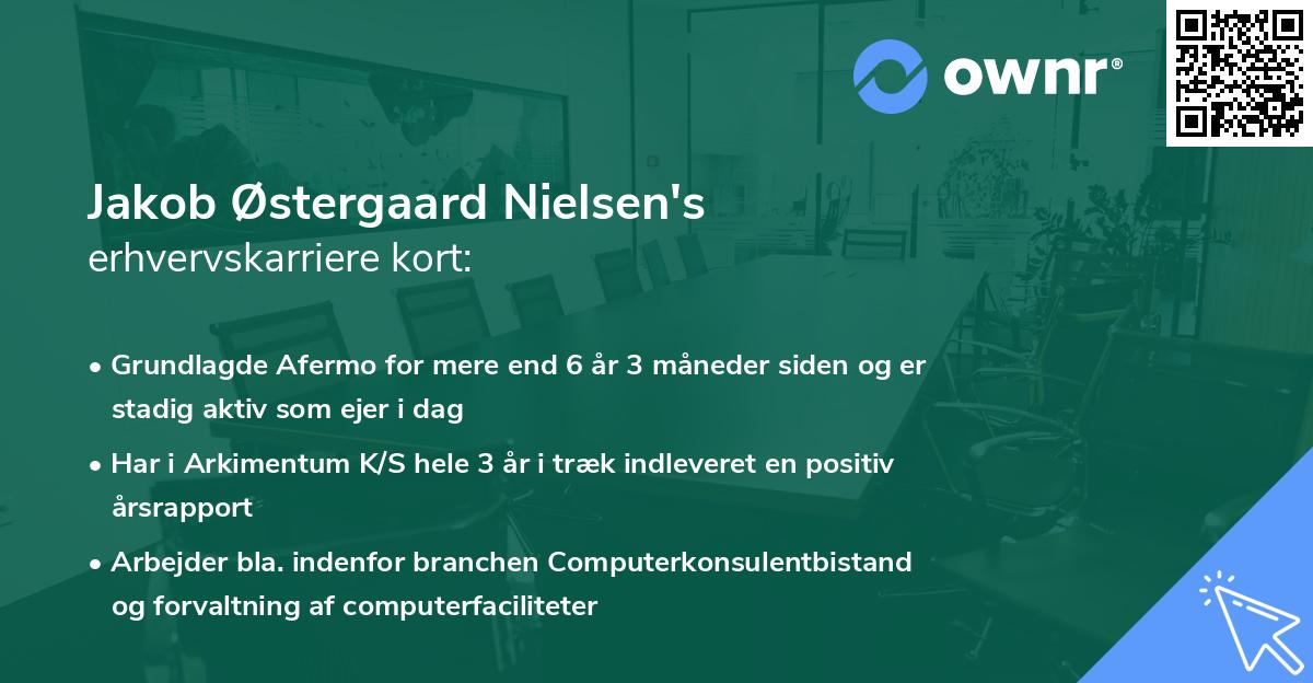Jakob Østergaard Nielsen's erhvervskarriere kort