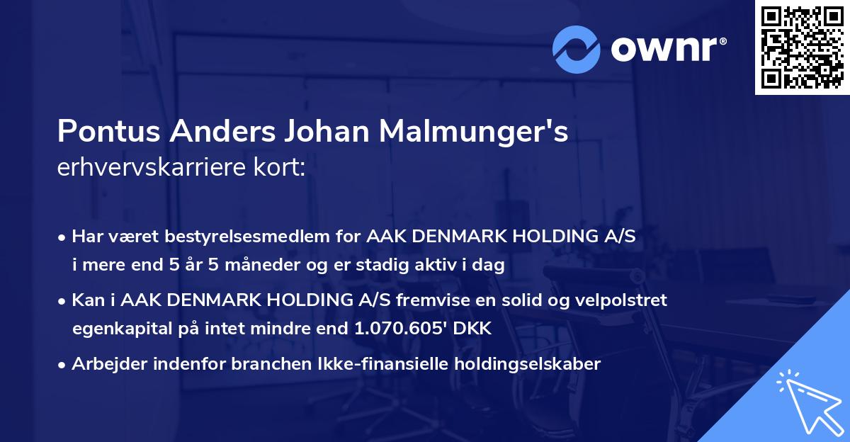 Pontus Anders Johan Malmunger's erhvervskarriere kort