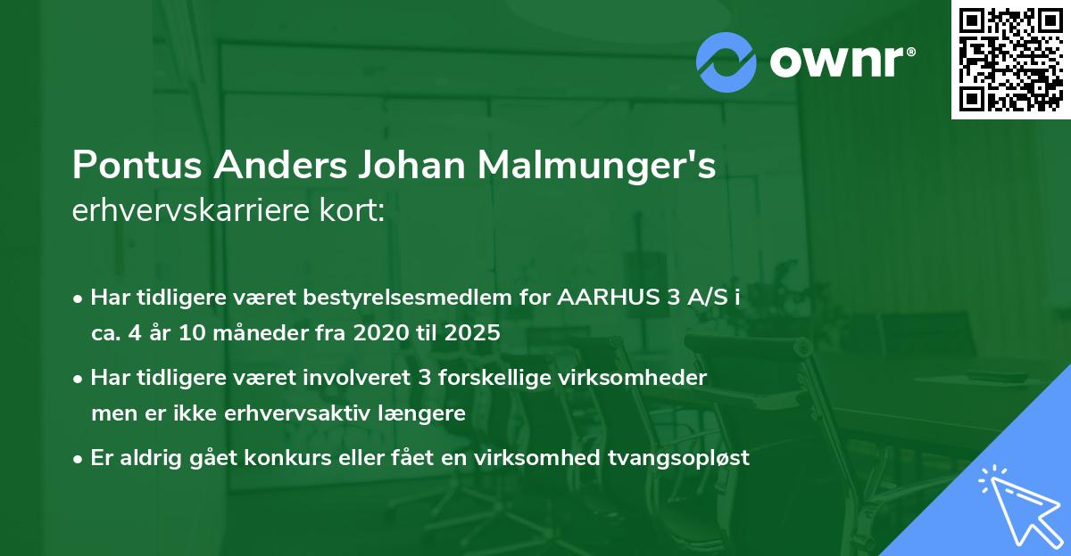 Pontus Anders Johan Malmunger's erhvervskarriere kort
