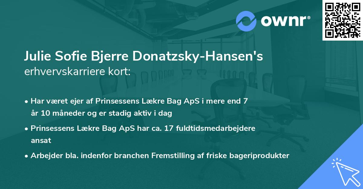 Julie Sofie Bjerre Donatzsky-Hansen's erhvervskarriere kort