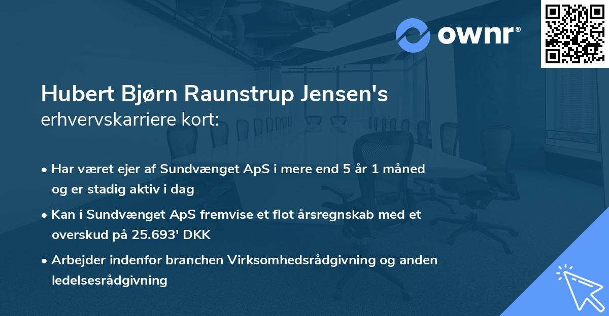 Hubert Bjørn Raunstrup Jensen's erhvervskarriere kort