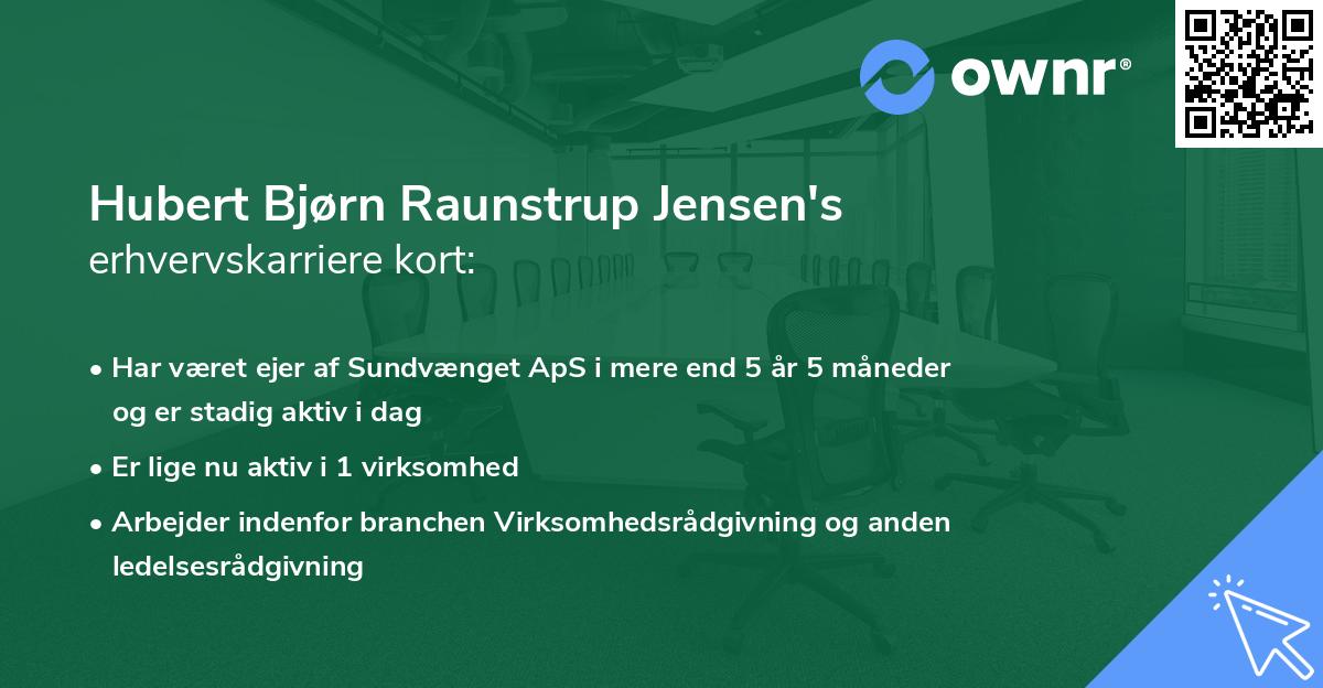 Hubert Bjørn Raunstrup Jensen's erhvervskarriere kort