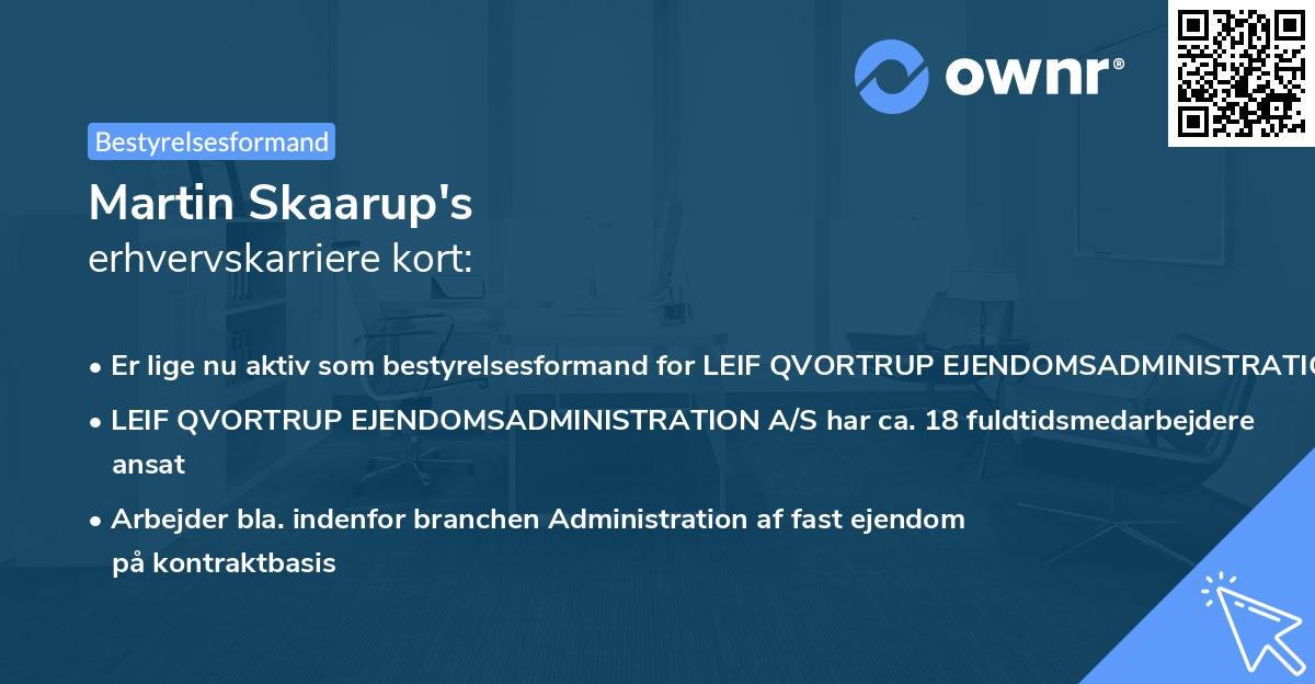 Martin Skaarup's erhvervskarriere kort