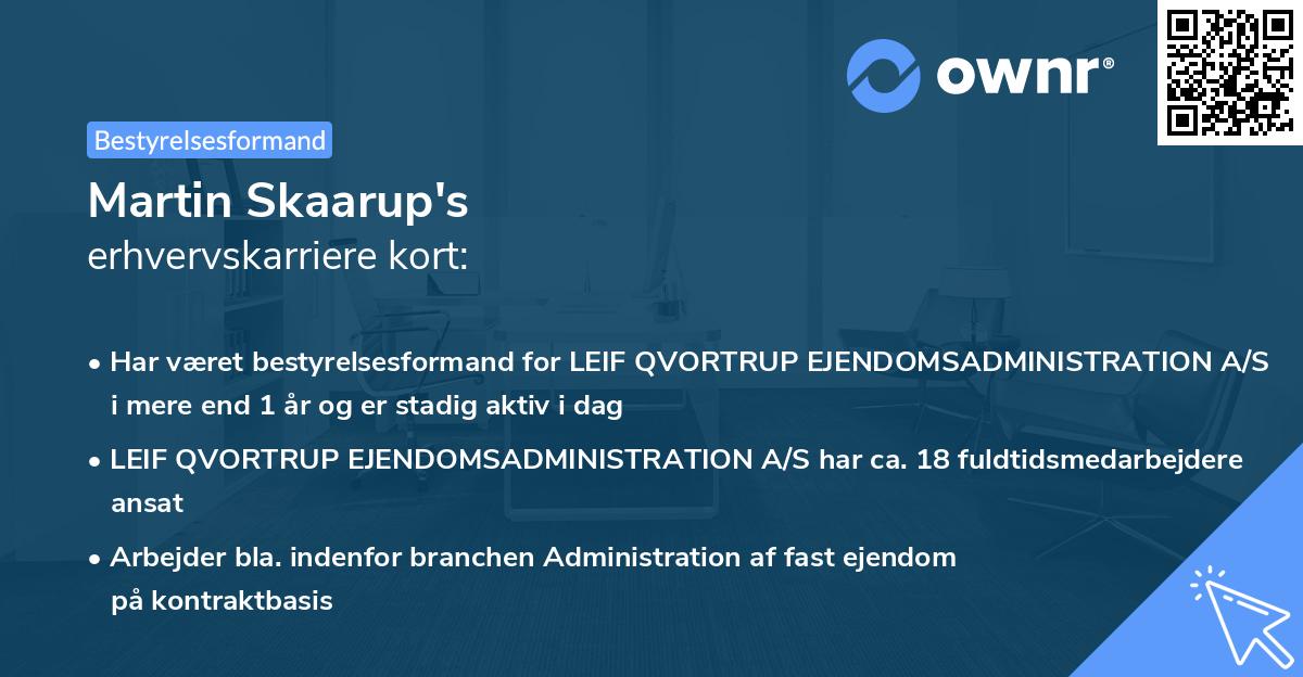 Martin Skaarup's erhvervskarriere kort