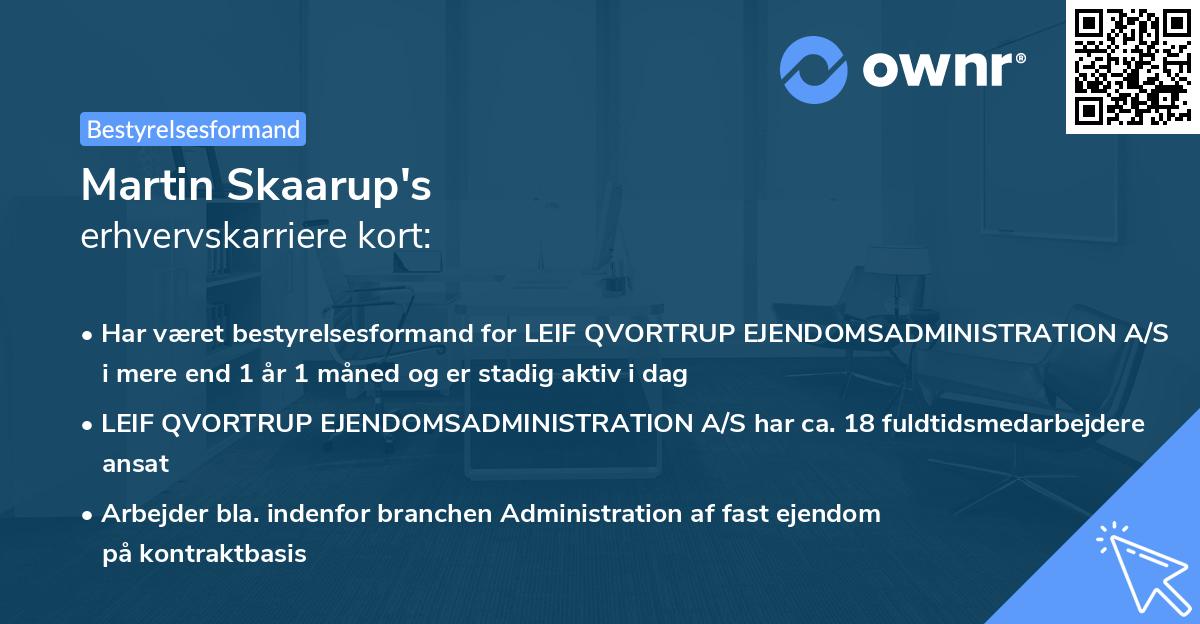 Martin Skaarup's erhvervskarriere kort