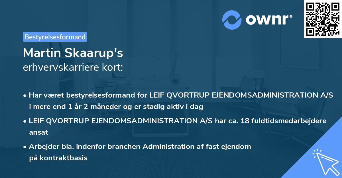 Martin Skaarup's erhvervskarriere kort