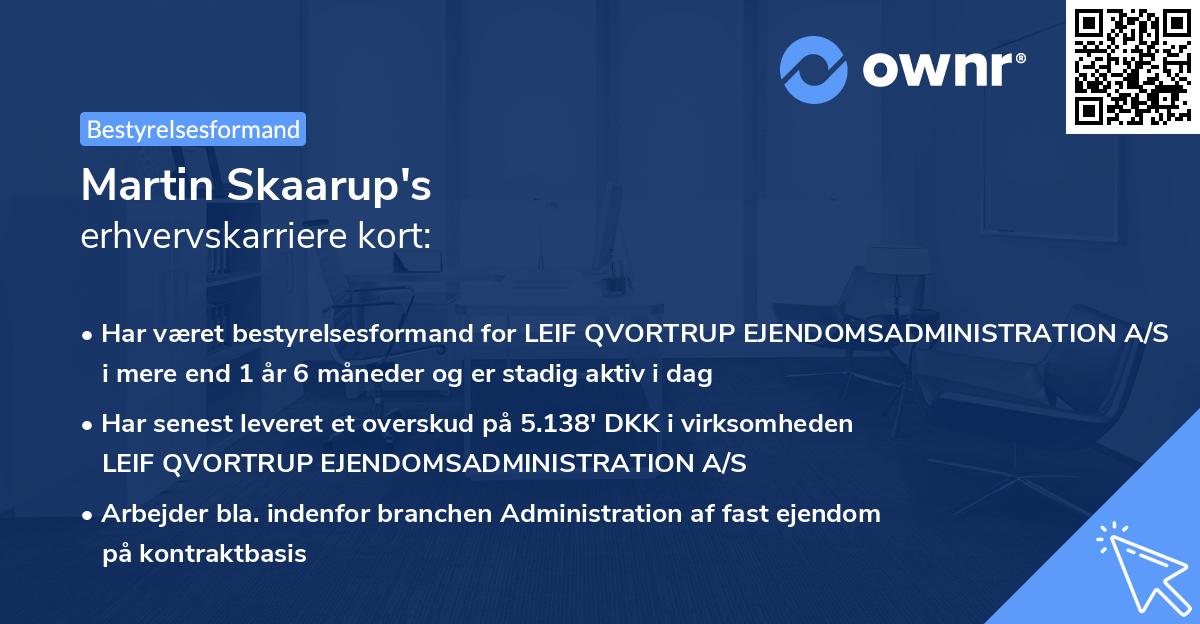Martin Skaarup's erhvervskarriere kort