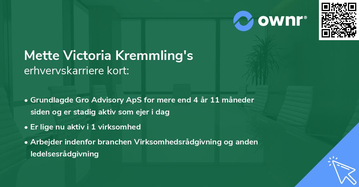 Mette Victoria Kremmling's erhvervskarriere kort