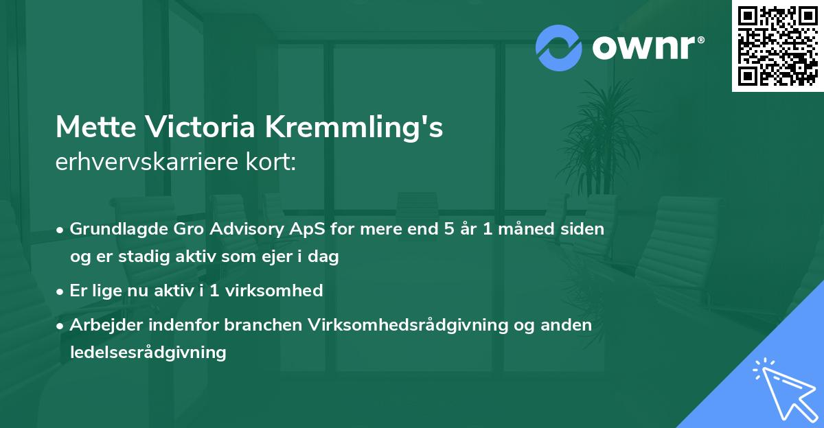 Mette Victoria Kremmling's erhvervskarriere kort