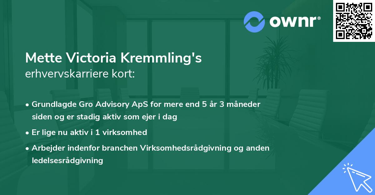 Mette Victoria Kremmling's erhvervskarriere kort