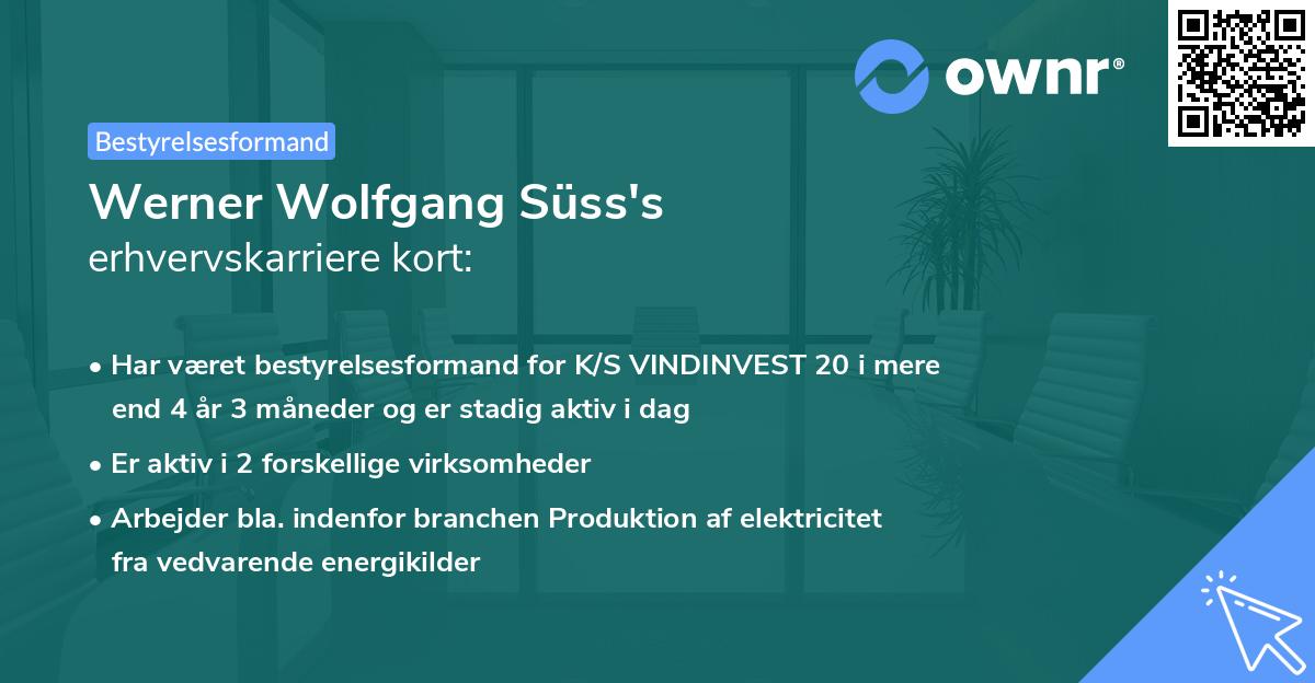 Werner Wolfgang Süss's erhvervskarriere kort