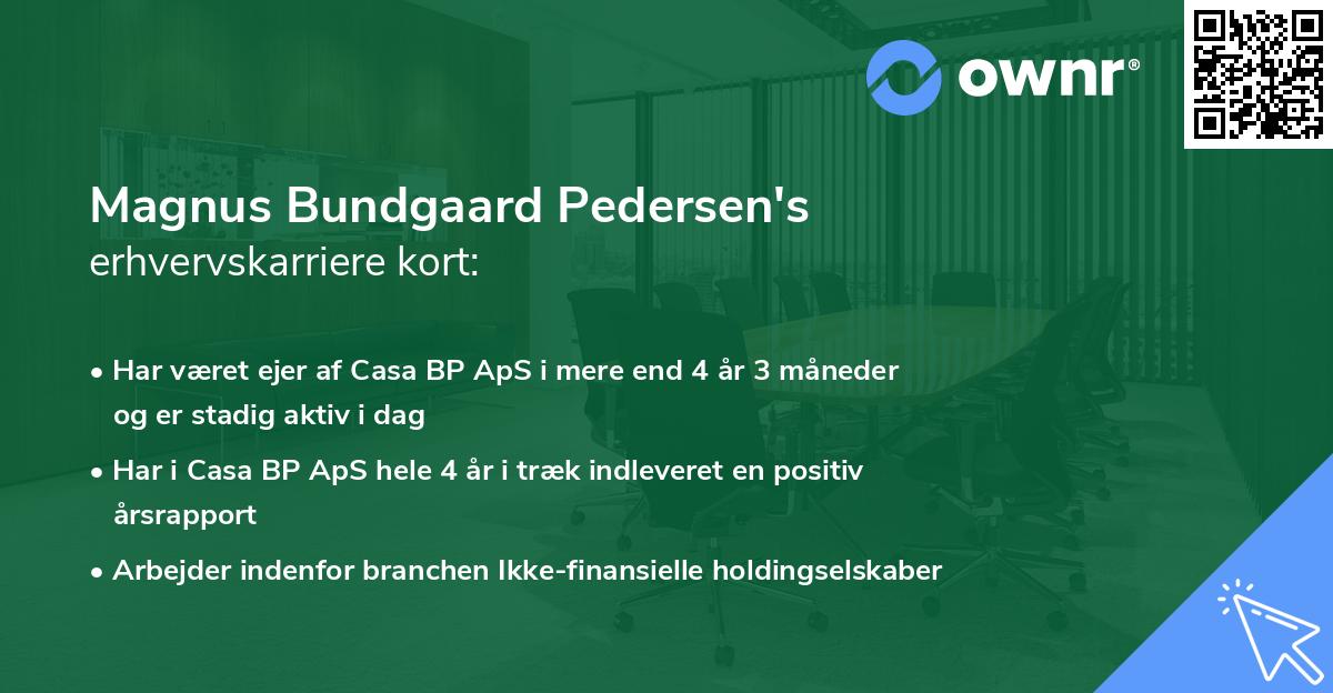 Magnus Bundgaard Pedersen's erhvervskarriere kort