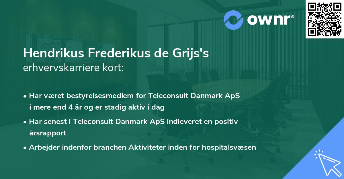 Hendrikus Frederikus de Grijs's erhvervskarriere kort