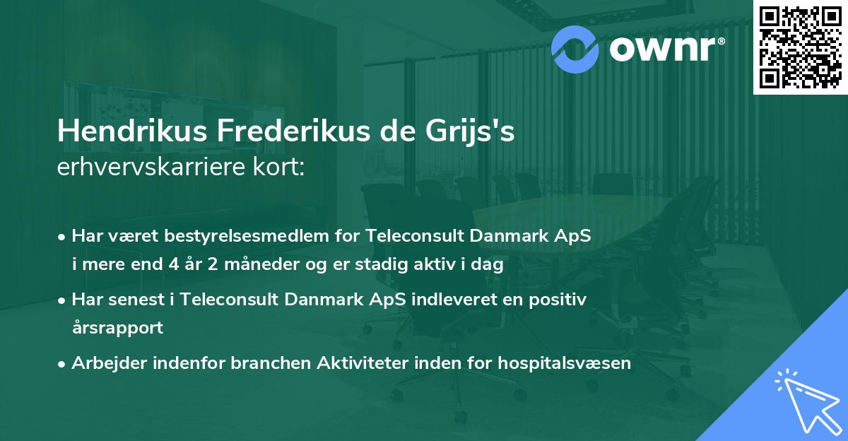 Hendrikus Frederikus de Grijs's erhvervskarriere kort