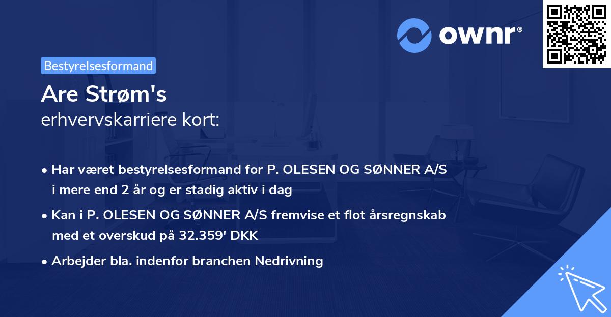 Are Strøm's erhvervskarriere kort