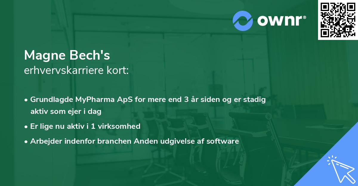 Magne Bech's erhvervskarriere kort