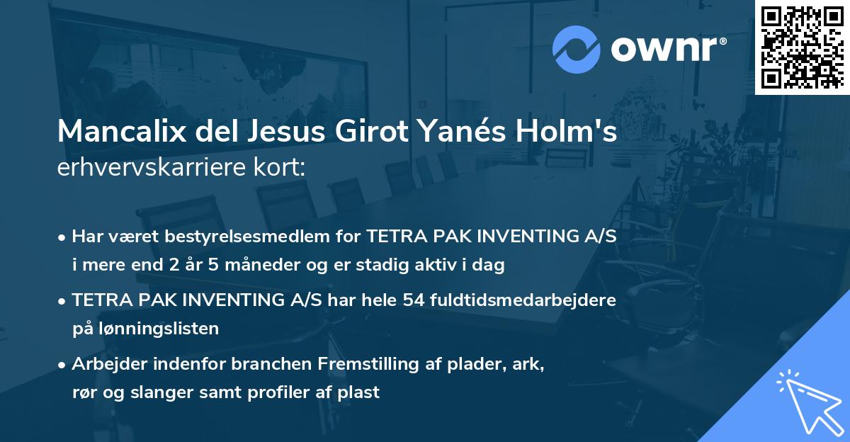 Mancalix del Jesus Girot Yanés Holm's erhvervskarriere kort