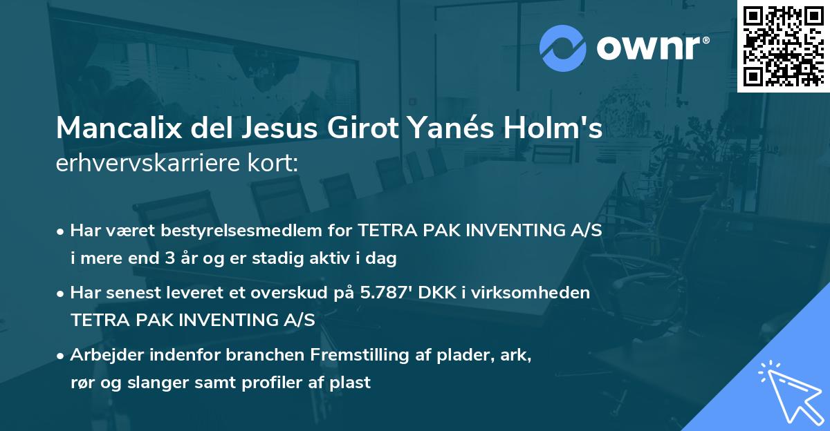 Mancalix del Jesus Girot Yanés Holm's erhvervskarriere kort