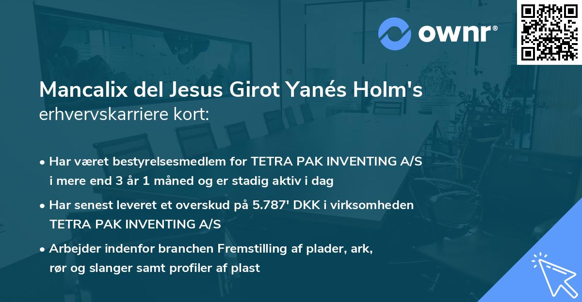 Mancalix del Jesus Girot Yanés Holm's erhvervskarriere kort