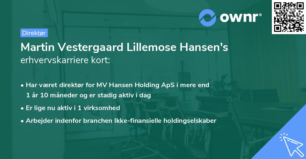 Martin Vestergaard Lillemose Hansen's erhvervskarriere kort
