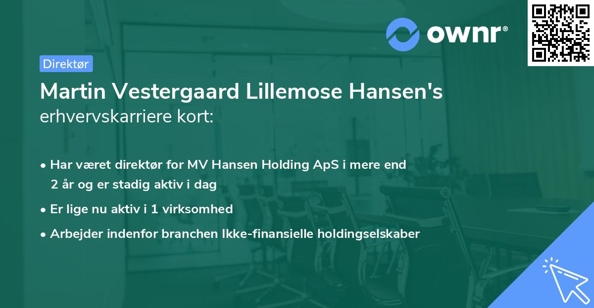 Martin Vestergaard Lillemose Hansen's erhvervskarriere kort