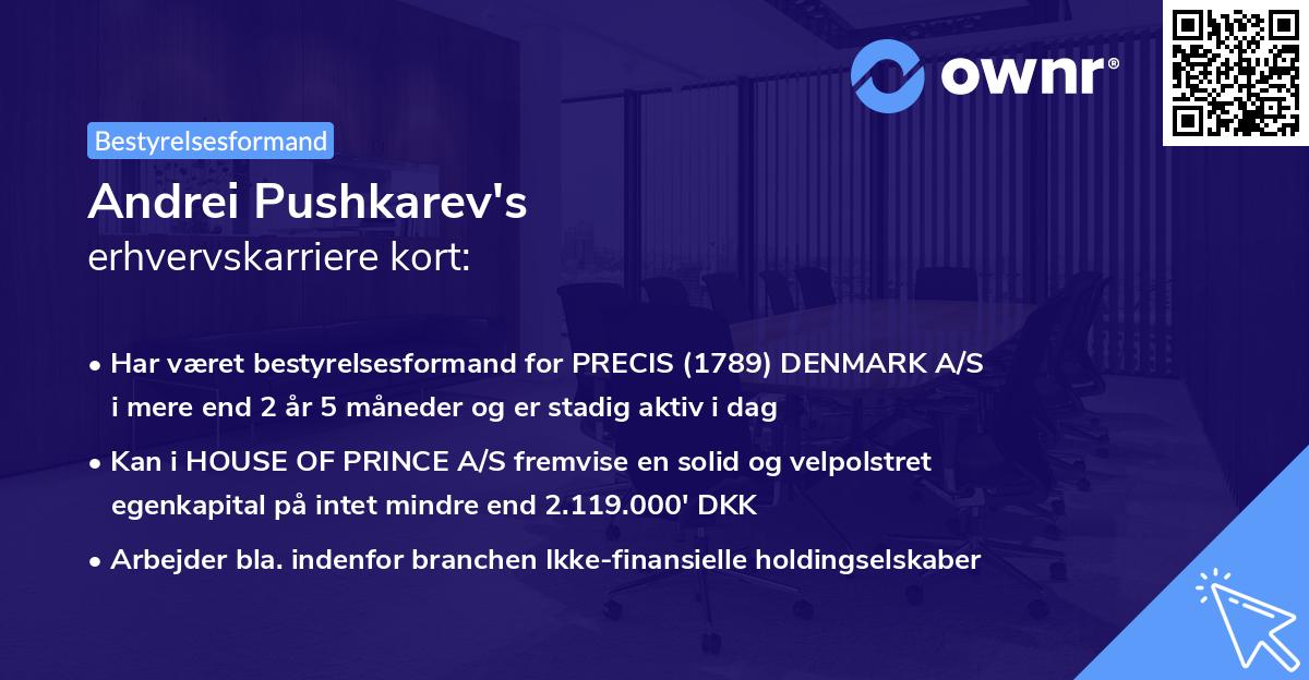 Andrei Pushkarev's erhvervskarriere kort