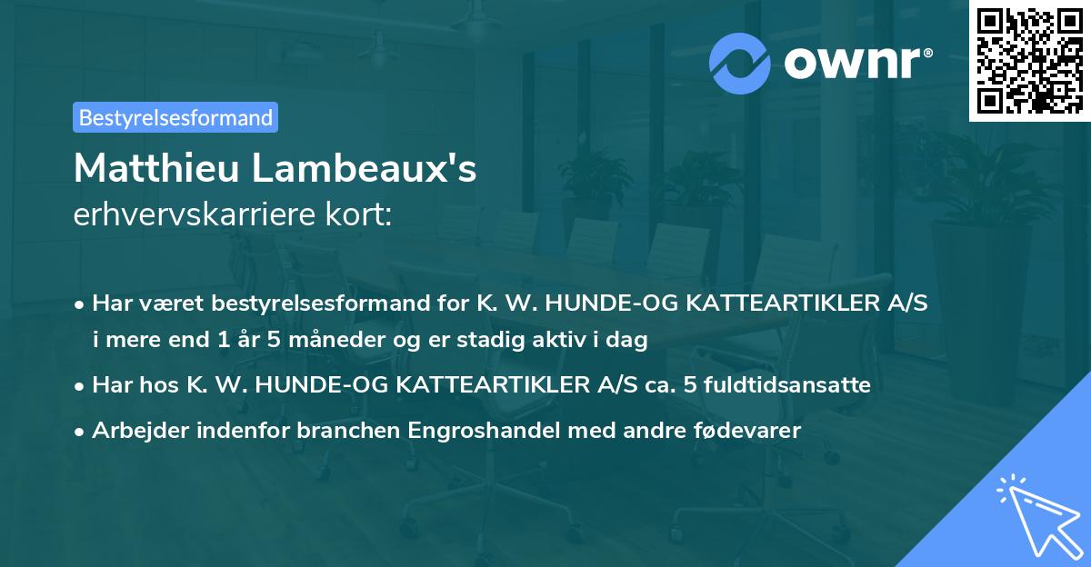 Matthieu Lambeaux's erhvervskarriere kort